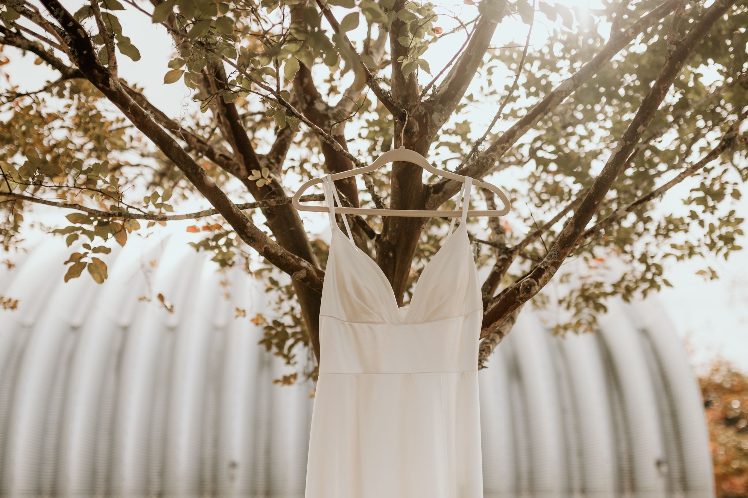 Garden Wedding Jacksonville, Florida Photographer Congraree and Penn