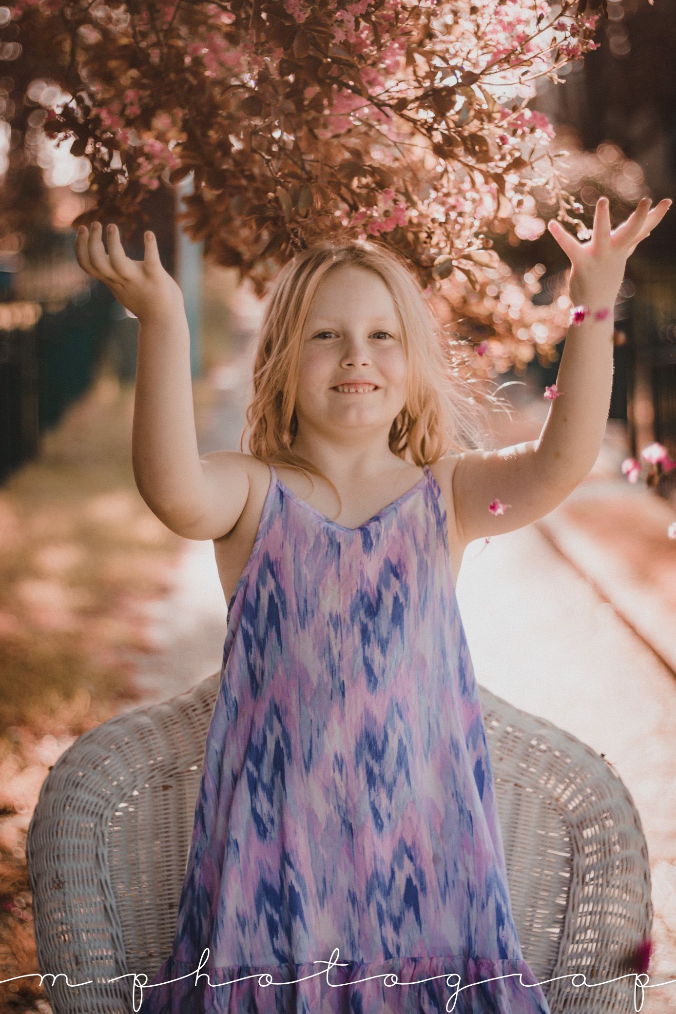 Family Photographer - Mid North Coast -