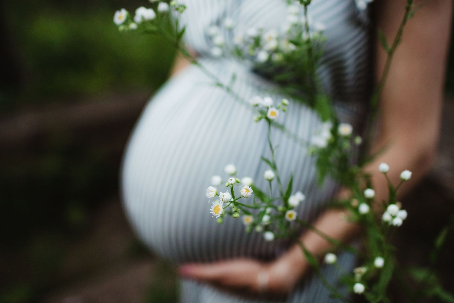 A woman cradles her pregnant belly in white spring flowers. Photo by maternity photographer, Elizabeth Pachniak.