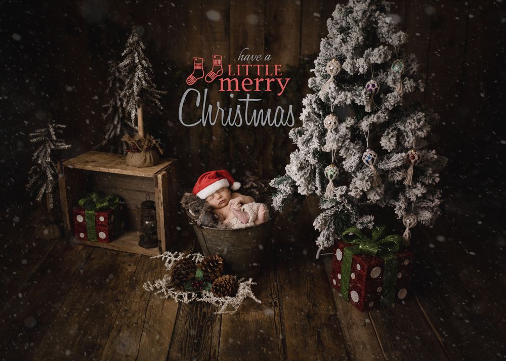 Calgary Newborn Photographer