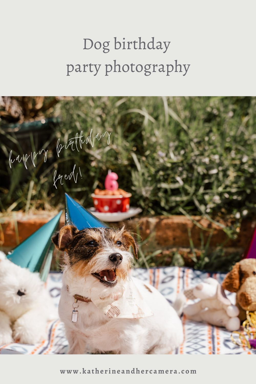 Dog birthday photography Pinterest graphic.