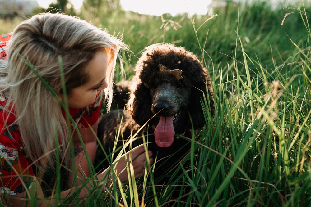Dog mom and poodle labradoodle dog Pet photography Cincinnati Puppy photos Dayton Ohio