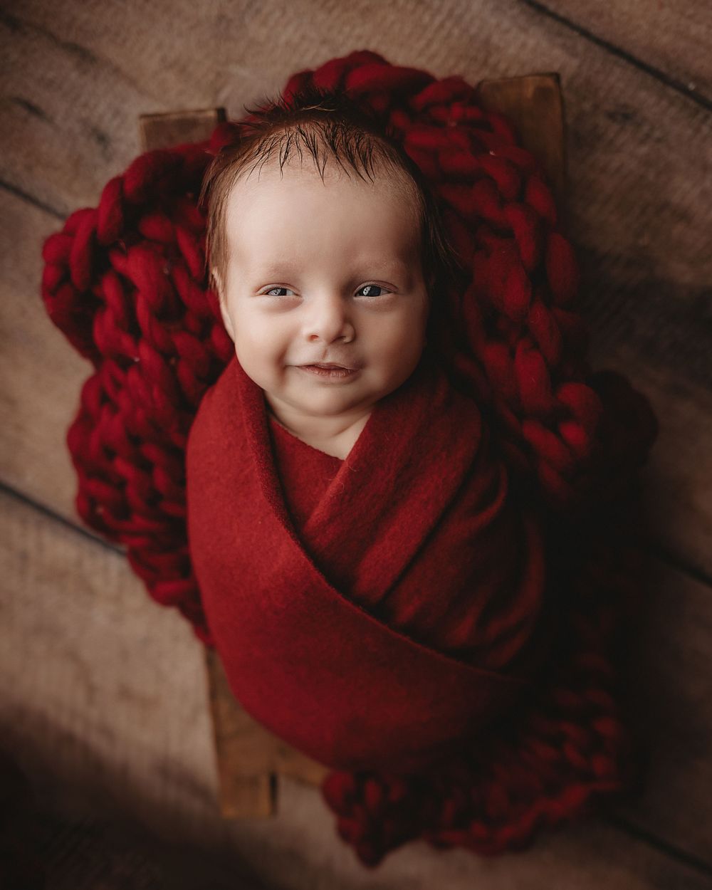 Professional newborn photo - burgundy