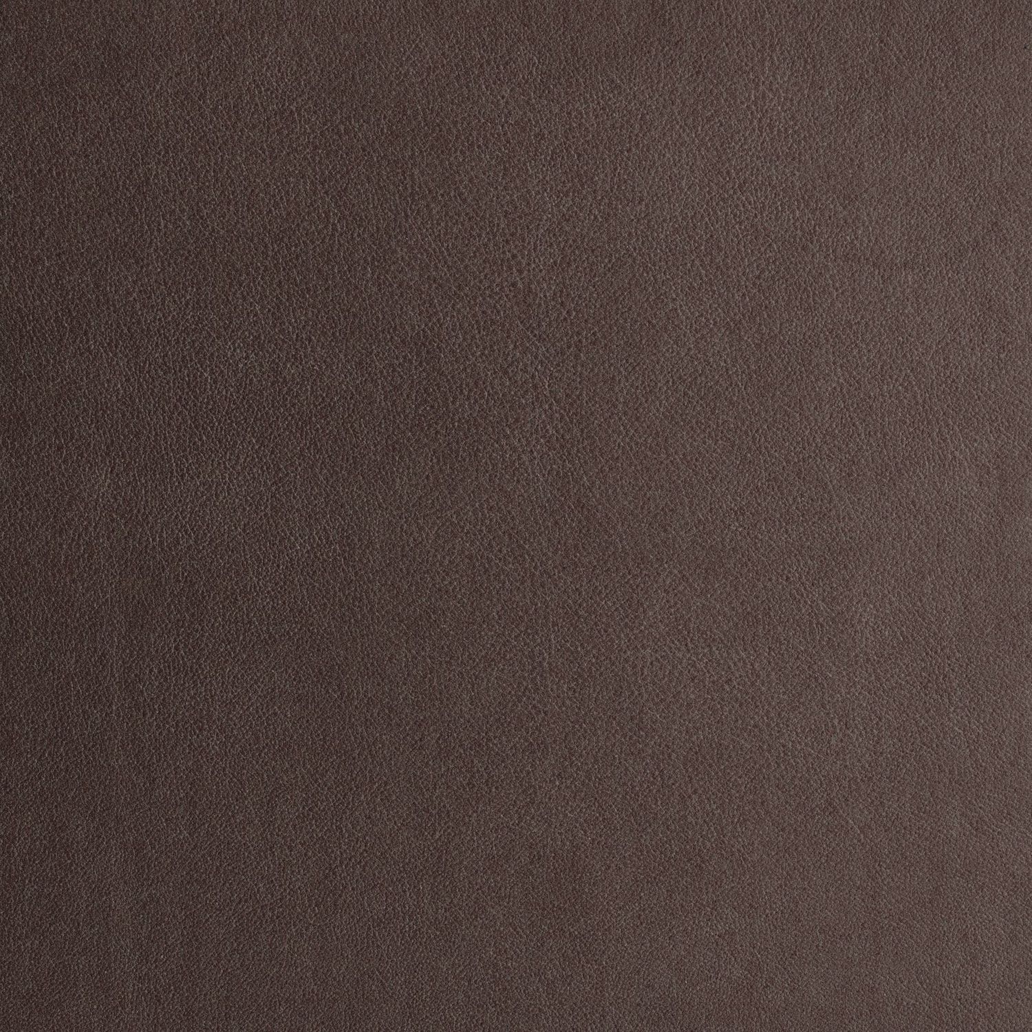 Album Design Swatches