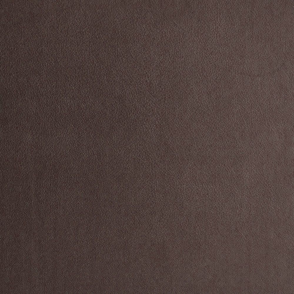 Album Design Swatches
