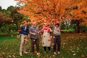 Family of four throwing Autumn leaves in Emerald by Kate Cashin Photography.