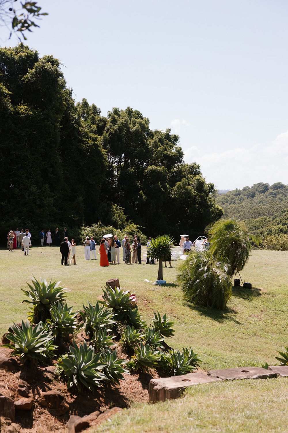 A group of people gathered on a grassy hilltop surrounded by tall trees and tropical plants on a bright day.