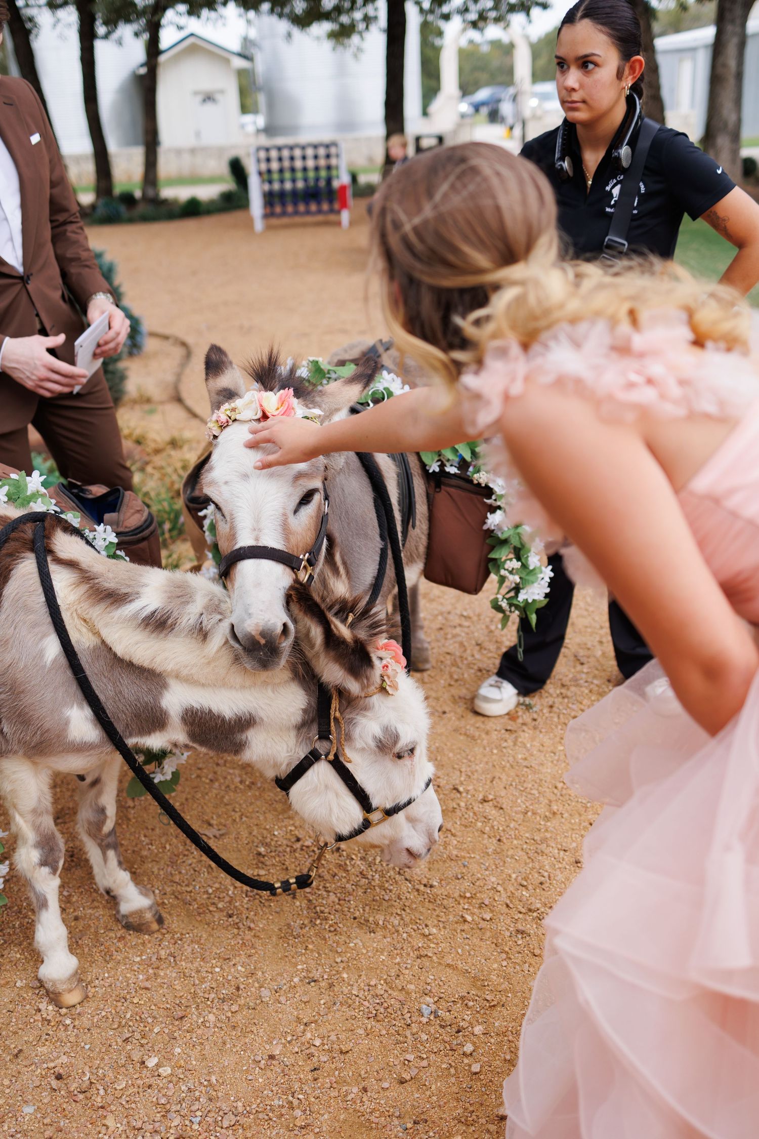 Miniature donkey wearing floral garland greets guests in pink dress at outdoor wedding at Bella Cavalli