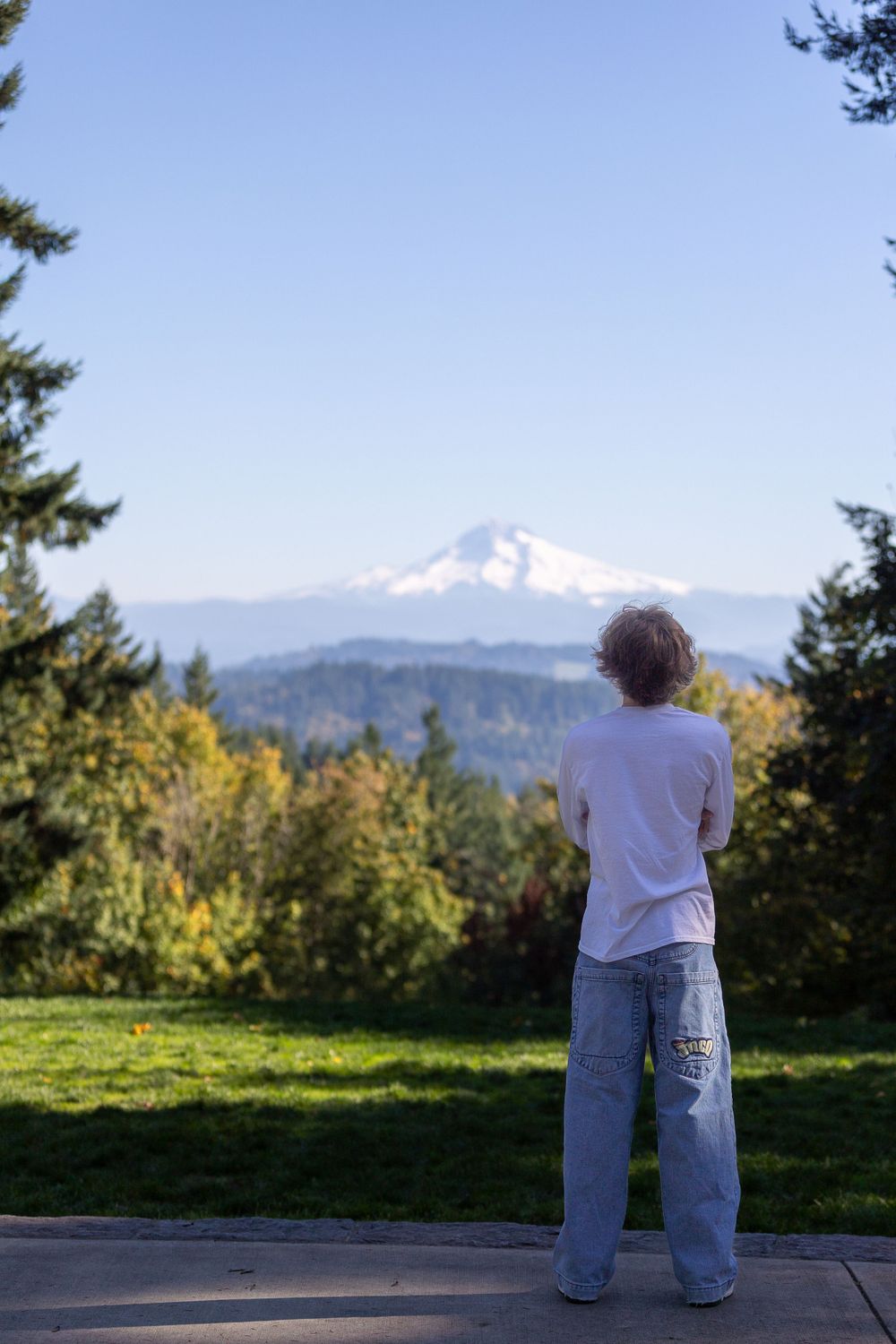 View of snow-capped mountain peak through trees on a clear day.