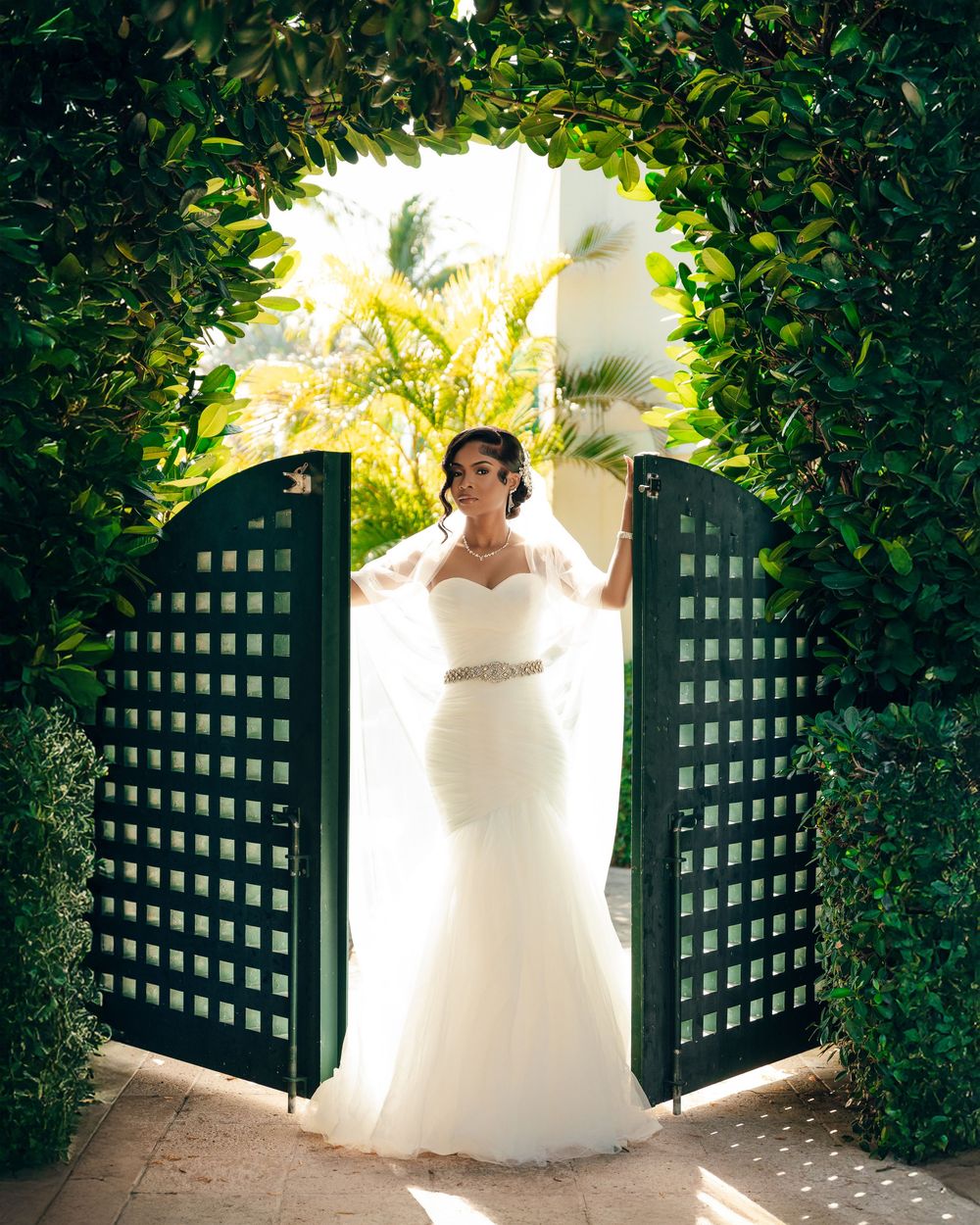 A wedding dress photo shows a backlit silhouette standing in a garden archway with lattice gates and lush green foliage.