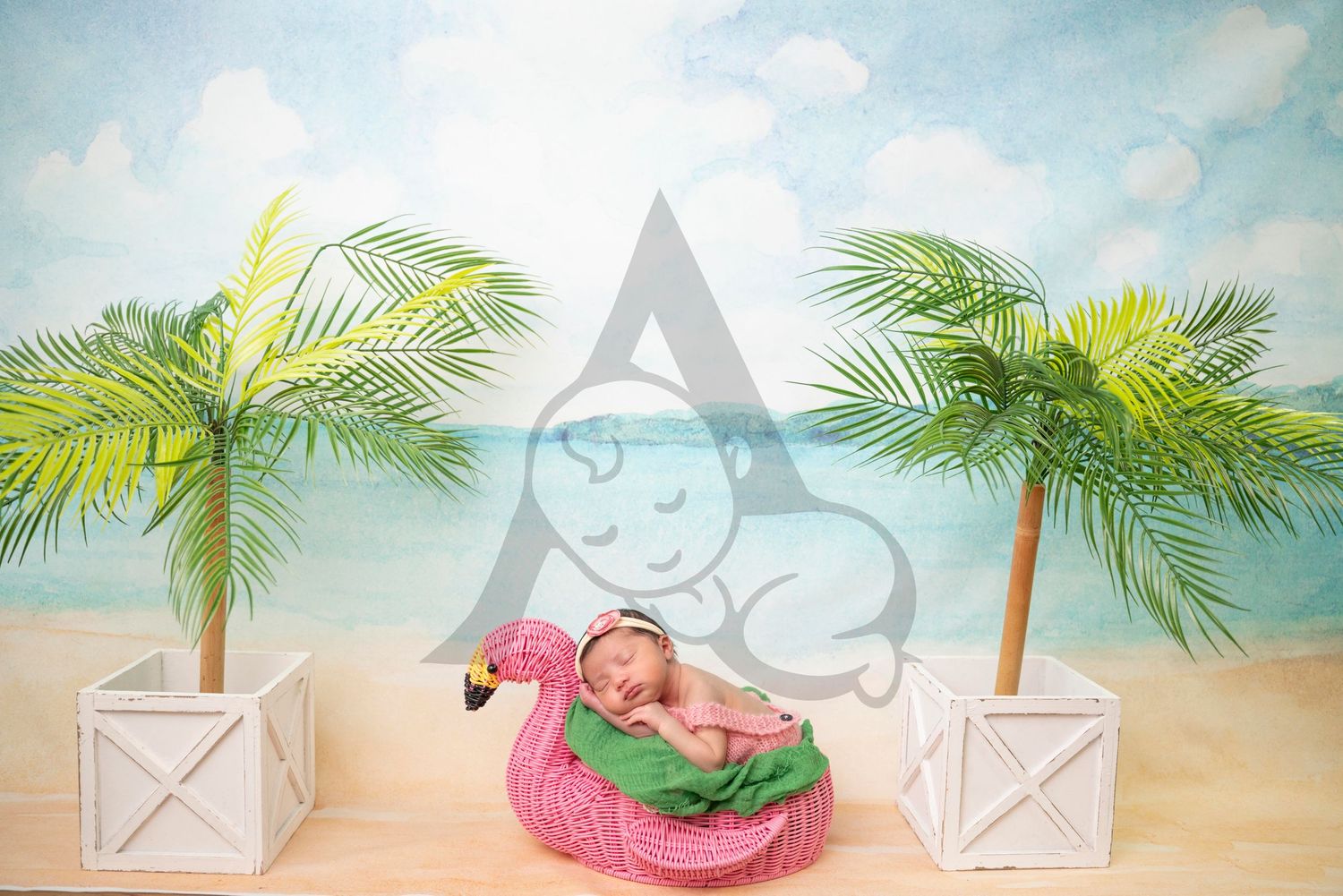 Newborn Posed in Flamingo Bucket