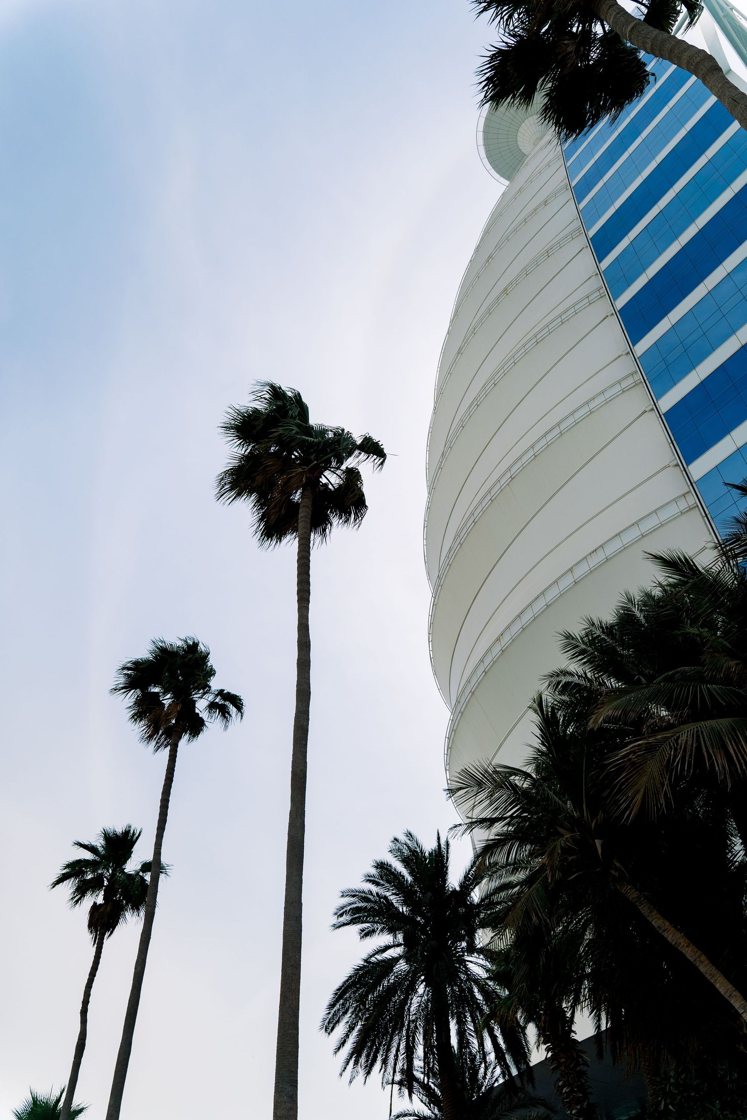 Palm trees frame a modern curved glass building against a bright blue sky in Dubai.