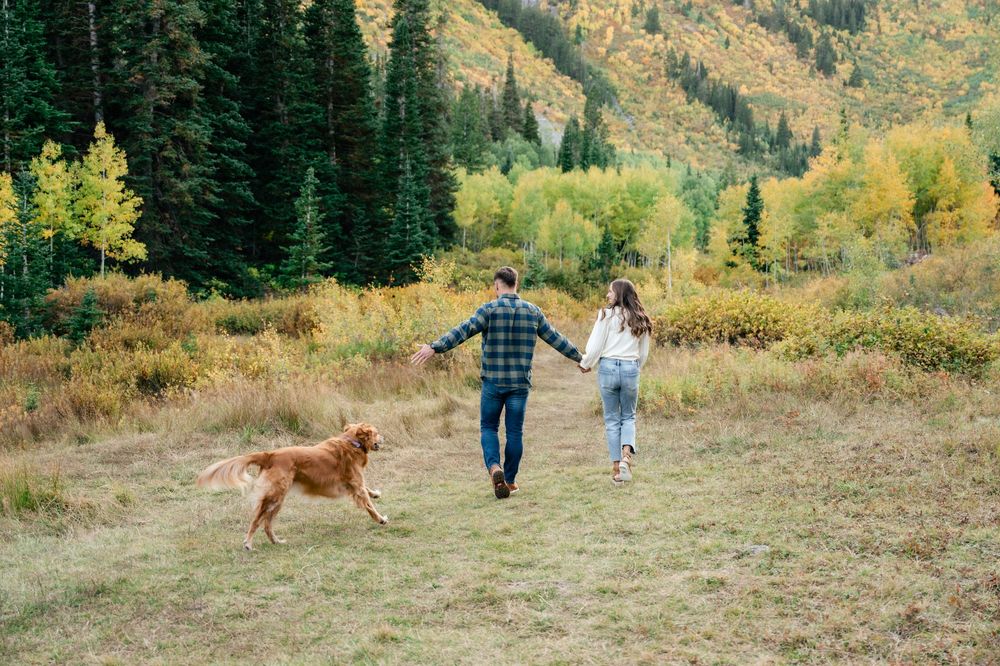 A couple walking hand in hand with their dog through a scenic mountain valley with autumn foliage and evergreen trees.