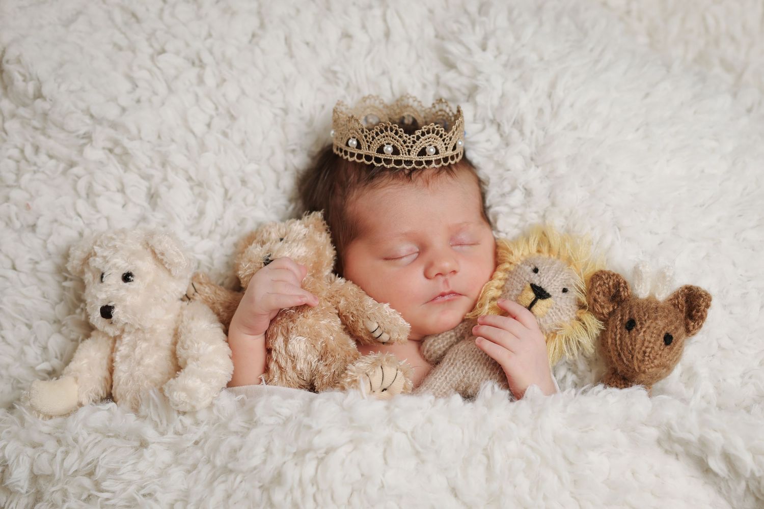 A sleeping newborn portrait from an in home newborn session in North Tonawanda, New York