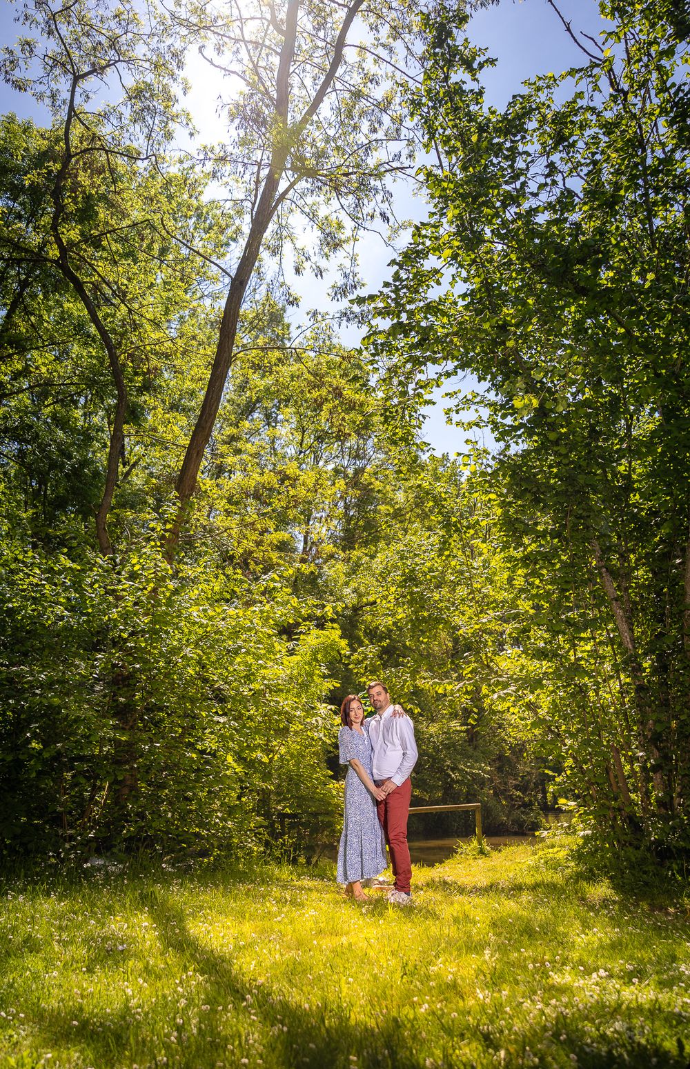 A tranquil meadow in the woods with sunlight filtering through green trees on a sunny summer day.