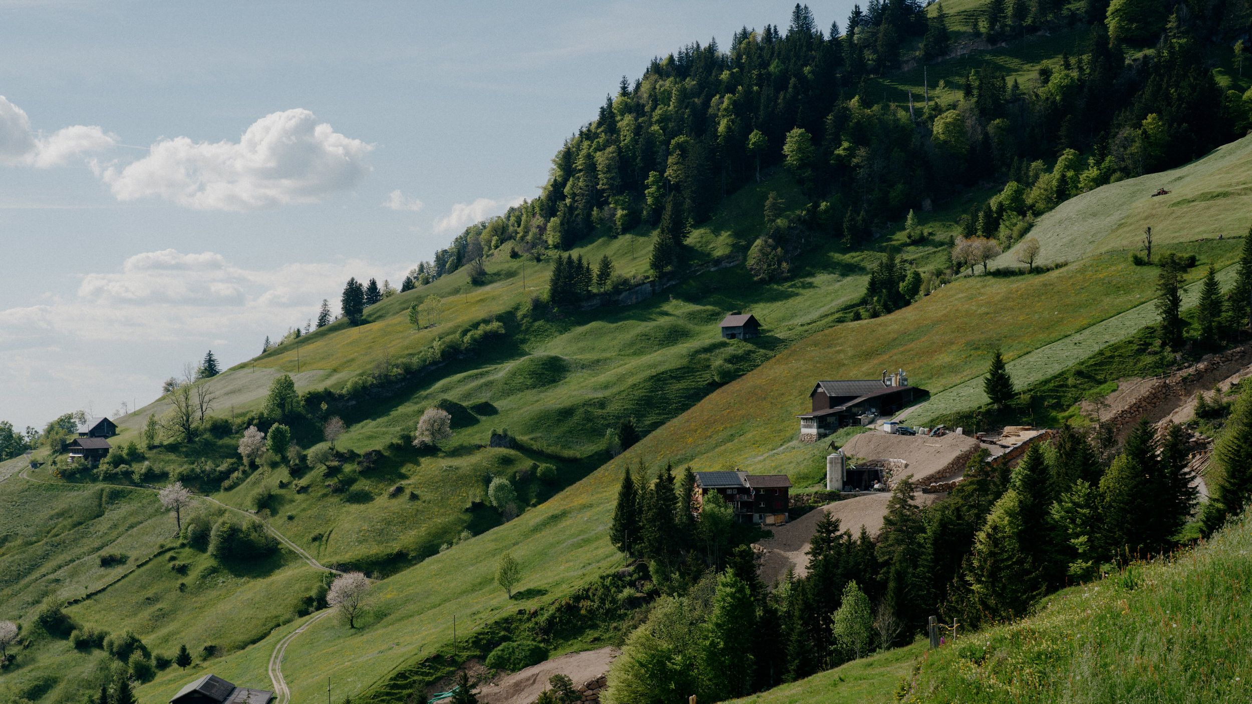 Mountain chalet nestled on lush green Alpine slopes with scattered evergreen trees and rolling hills under blue skies.