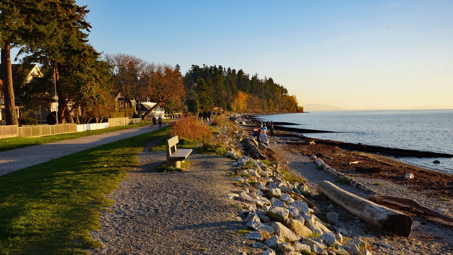 Crescent beach natural area and trees on the coast line in BC. A great place for outdoor family photos especially at sunset.