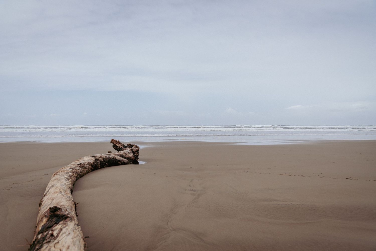 Cloudy day on the Oregon Coast with ocean waves, sandy beach, and scattered driftwood creating a moody coastal scene.