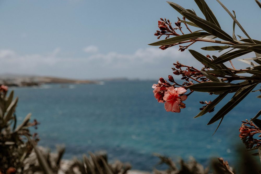 Paros
