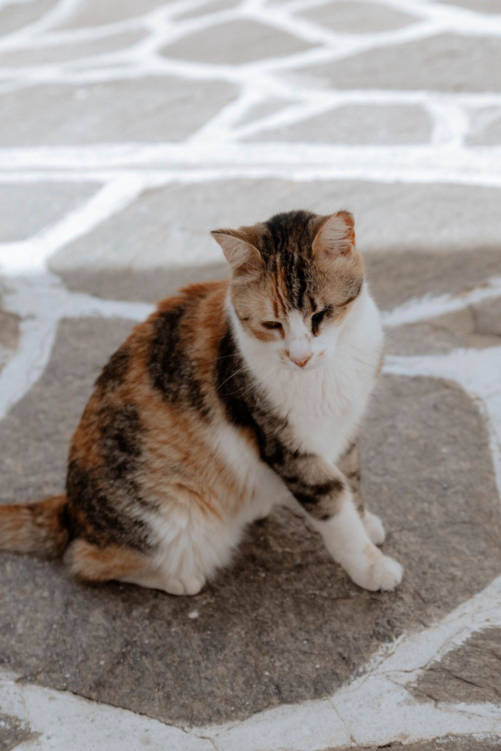 Paros
