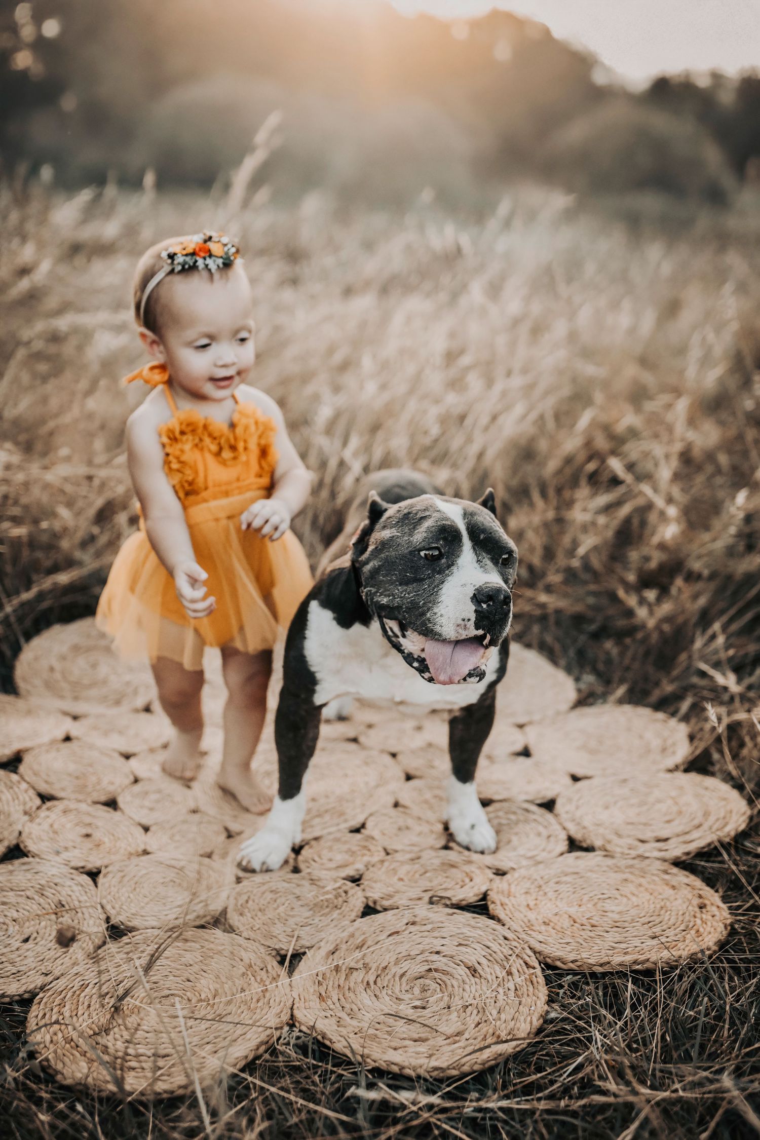 a cute little girl plays with her fur baby on a boho rug in a field of golden grass