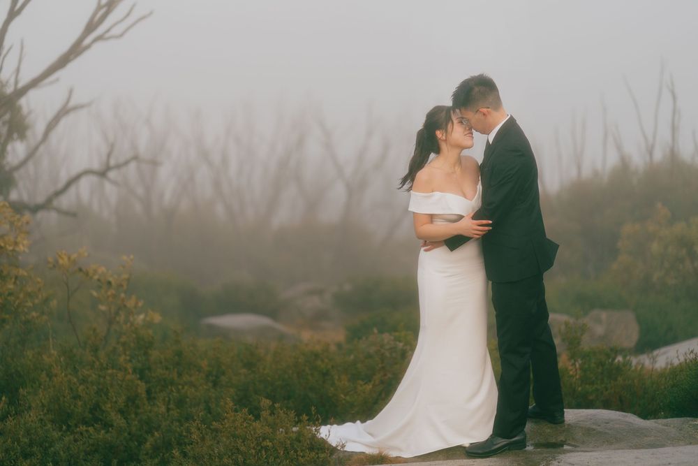 A romantic wedding couple embraces in a misty outdoor setting with bare trees and soft lighting.
