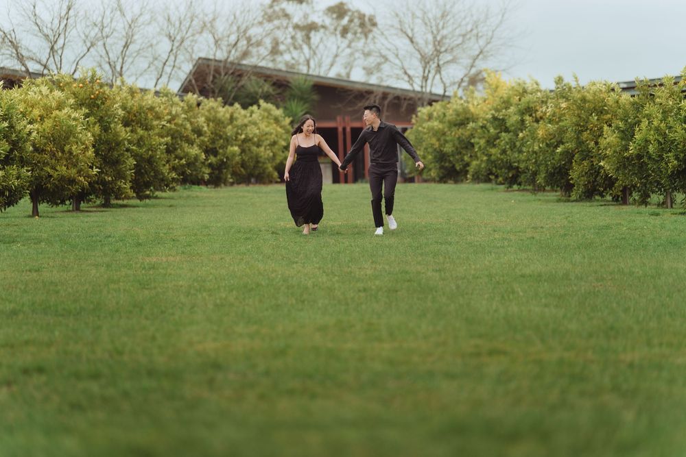 People walk on a grassy hillside path through a scenic orchard landscape on a bright sunny day.