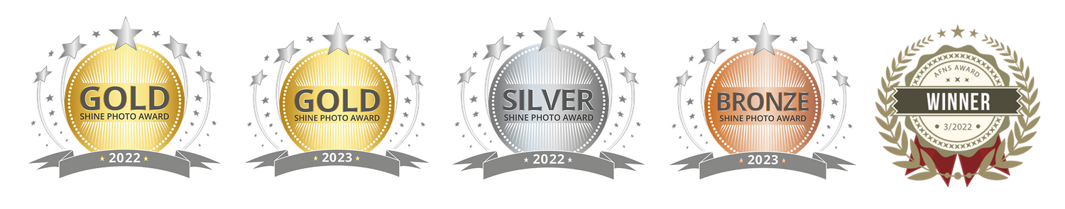 Row of metallic award medals showing gold, silver and bronze achievements.