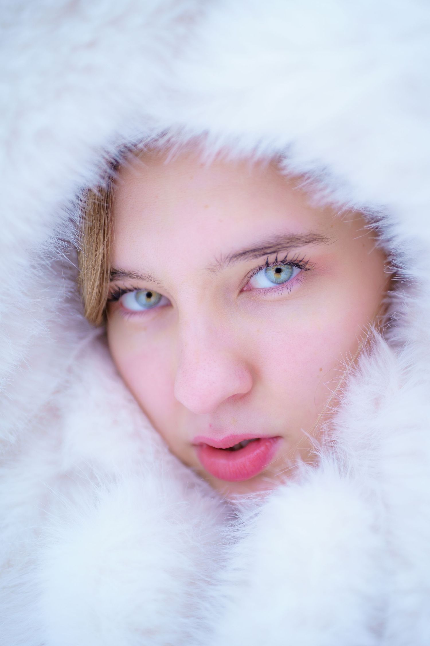 A face peers through white fluffy fur framing bright blue eyes in a dreamy winter portrait.