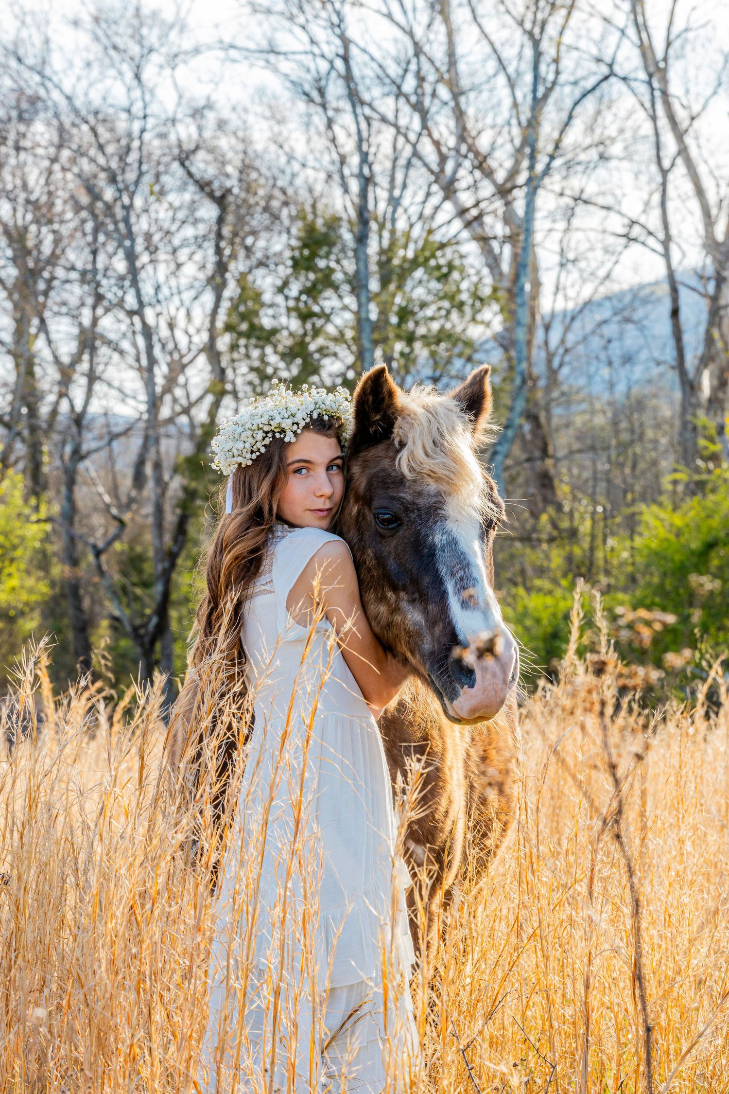 How to groom your horse for a photography session in Chattanooga, TN