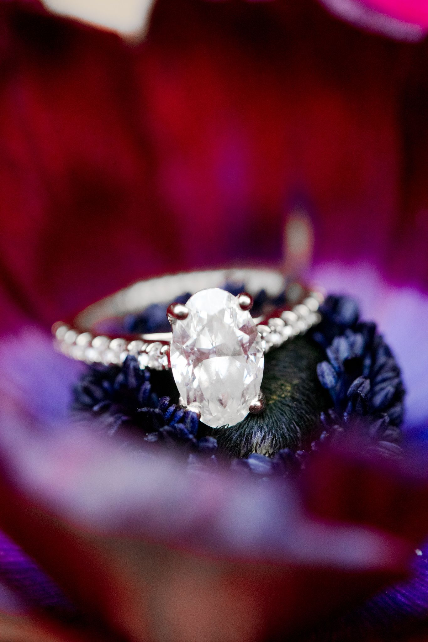 oval engagement ring sitting on dark purple anemone flower