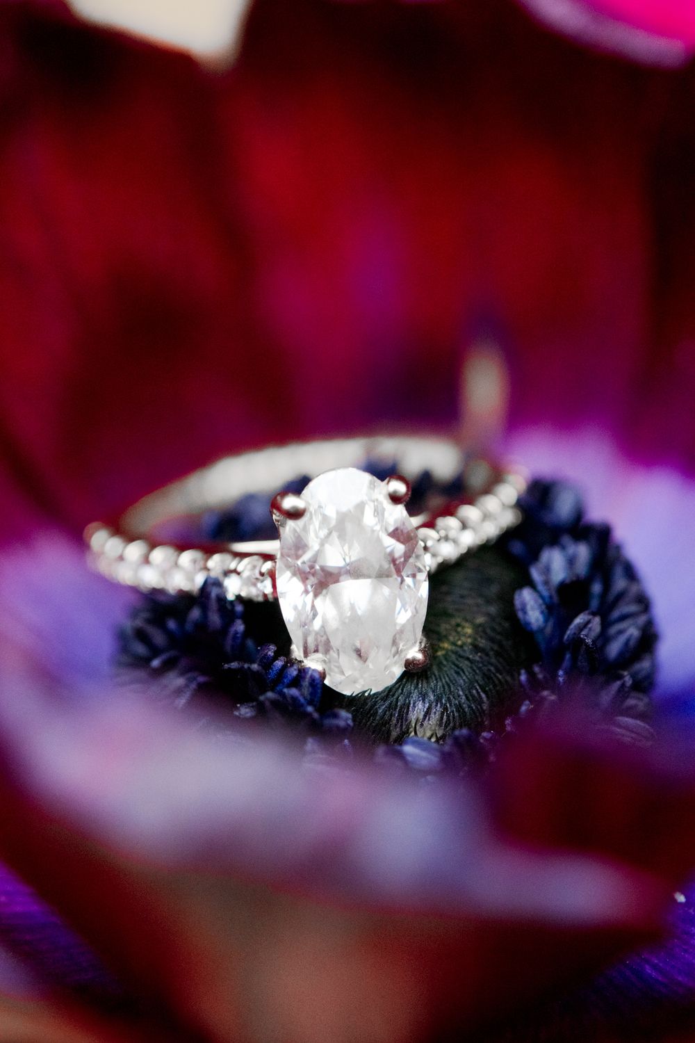 oval engagement ring sitting on dark purple anemone flower