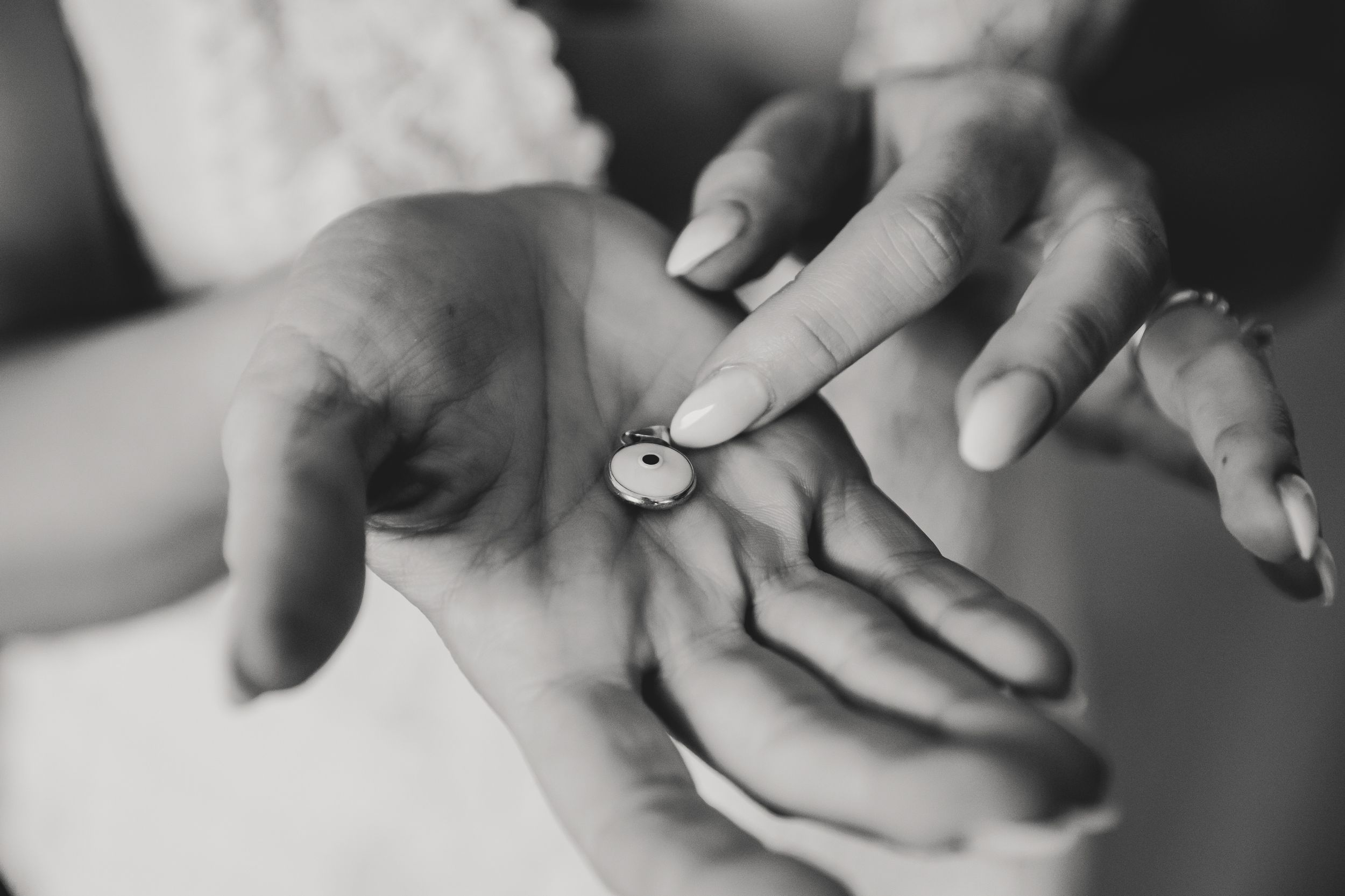 Grand Luxe Event Boutique and Mint Room Studios Toronto Wedding Photos by Shawn Van Daele