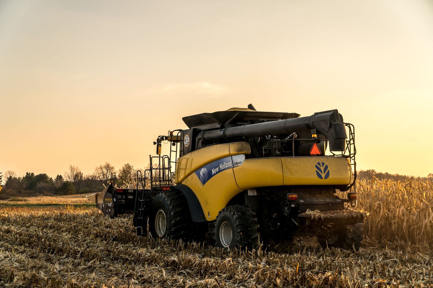 New Holland combine harvester working in stubble field at sunset.