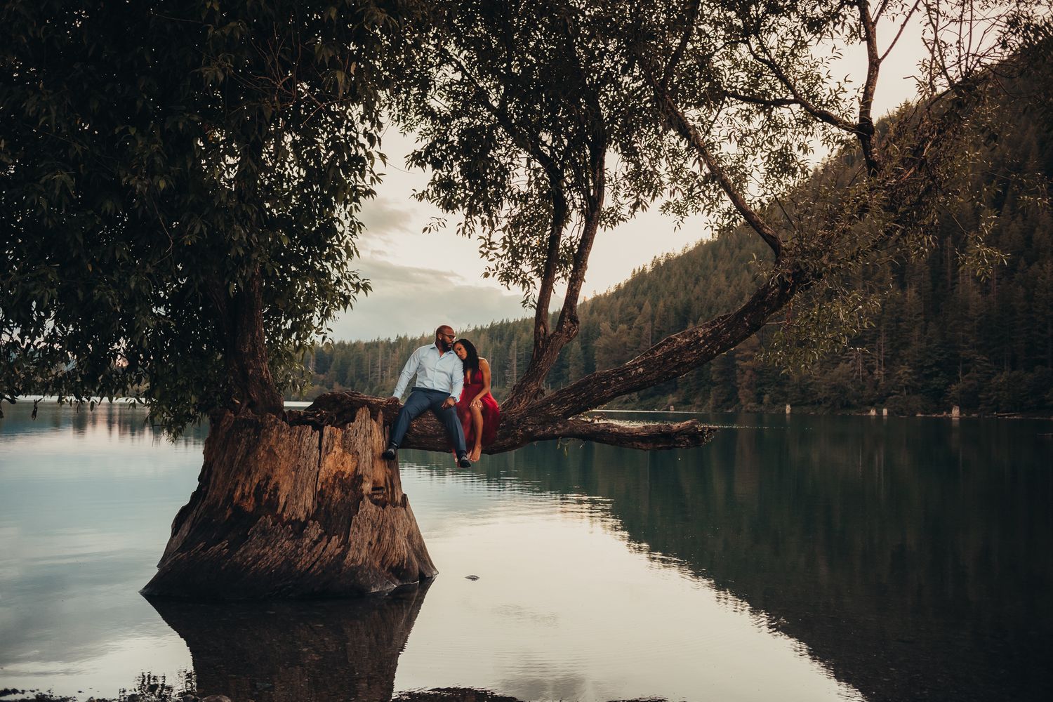 a couple snuggles romantically in big tree at rattlesnake lake, Issaquah, WA by Shutterbabe Snaphots