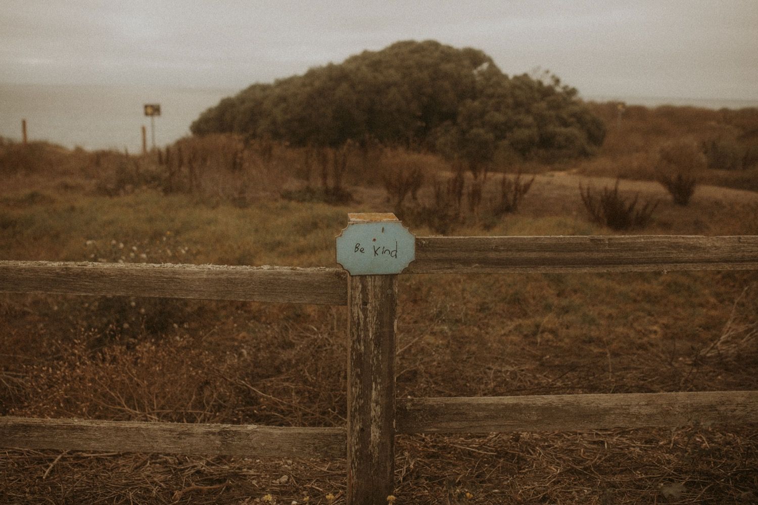 Half Moon Bay California Adventure Session | Destination Wedding Photographer