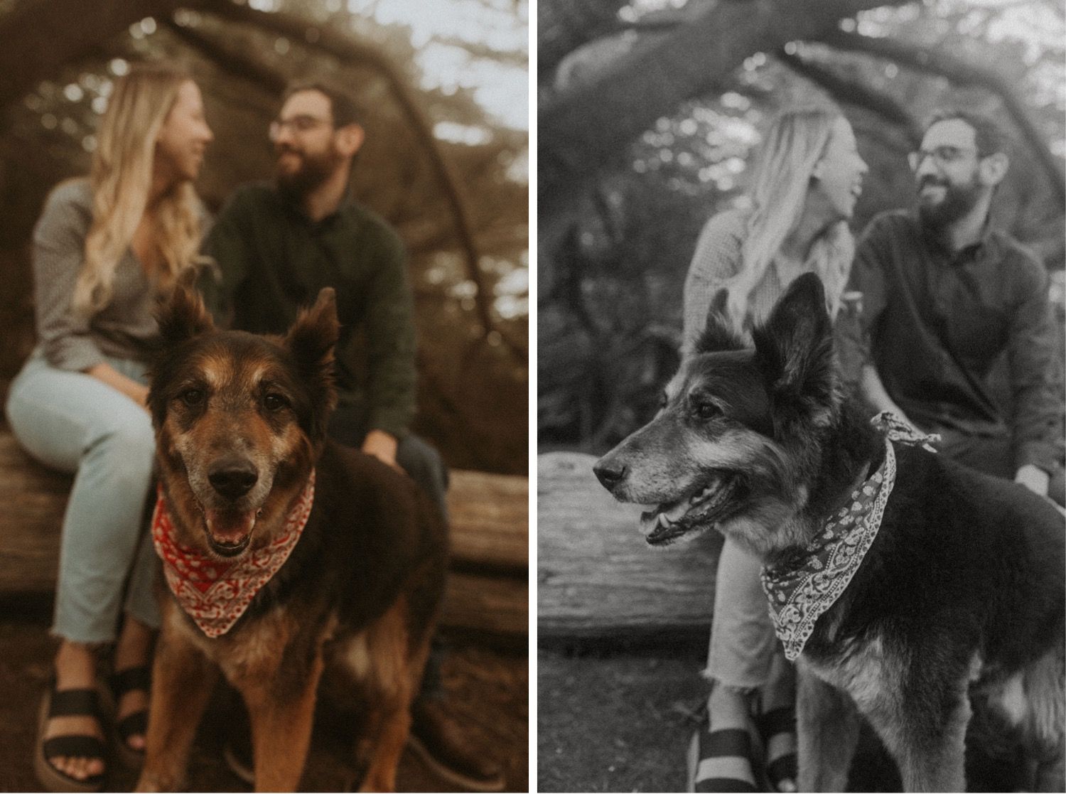 Half Moon Bay California Adventure Session | Destination Wedding Photographer