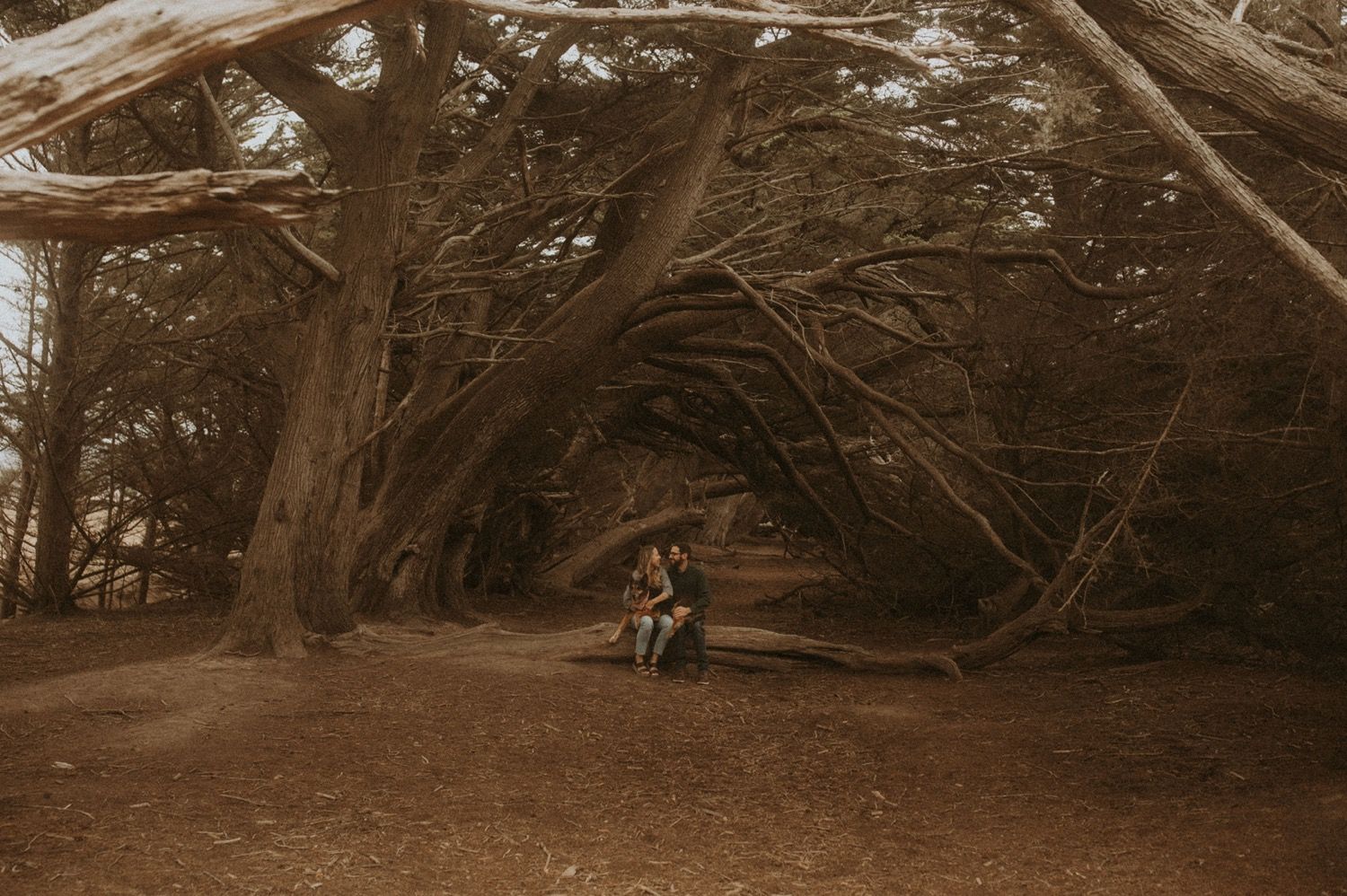 Half Moon Bay California Adventure Session | Destination Wedding Photographer