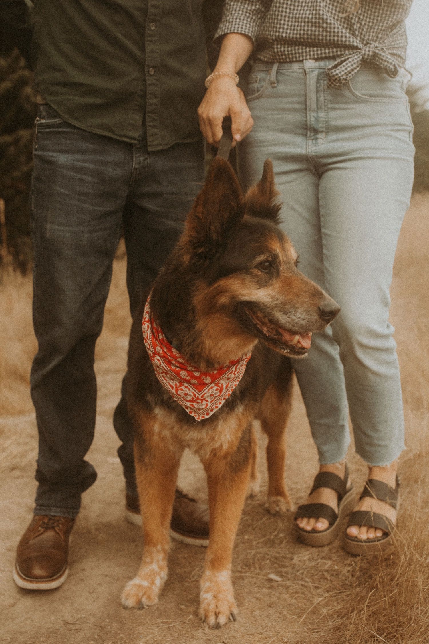 Half Moon Bay California Adventure Session | Destination Wedding Photographer