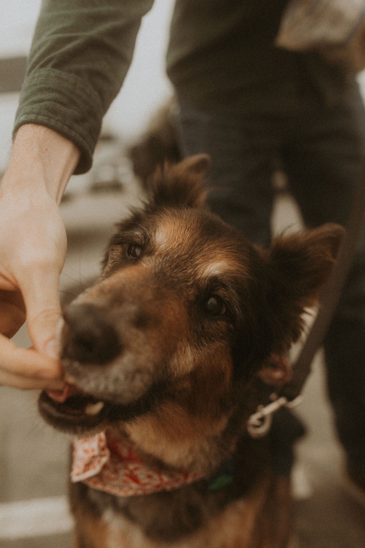 Half Moon Bay California Adventure Session | Destination Wedding Photographer