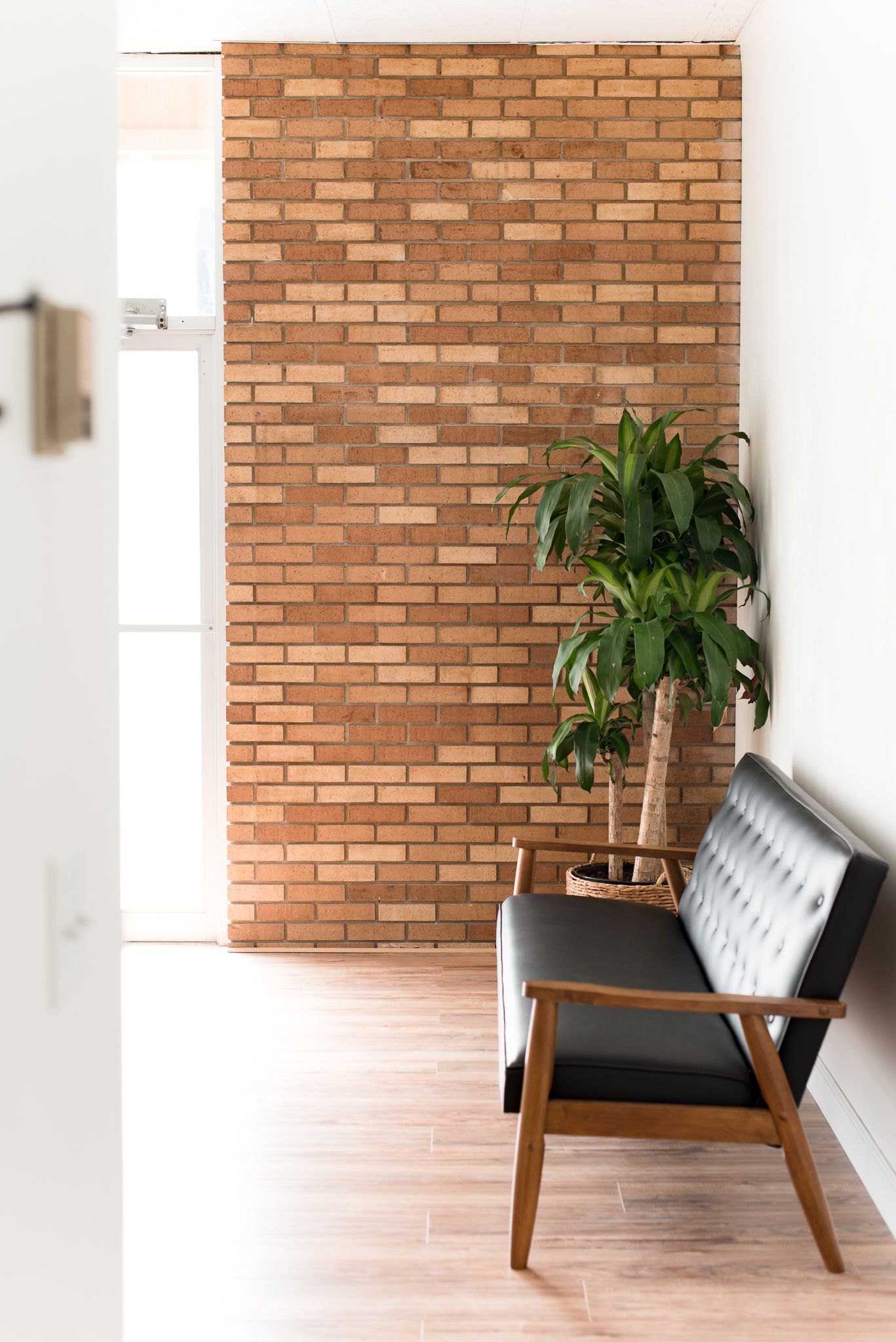 Black couch and corn plant inside natural light photography studio with white walls and brick