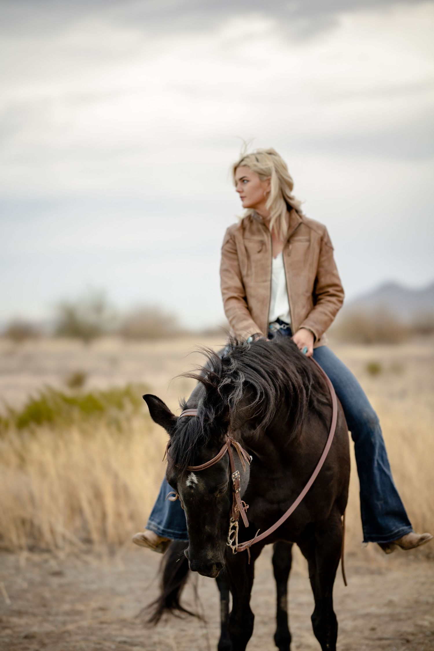 Horse and Rider Portraits Barrel Racer black Quarter Horse