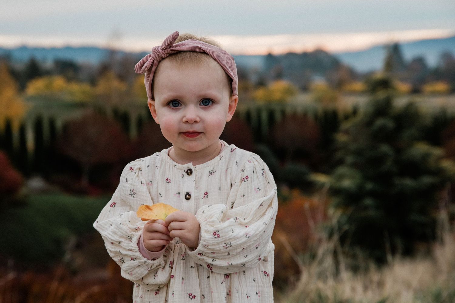 portrait of a toddler holding a leaf