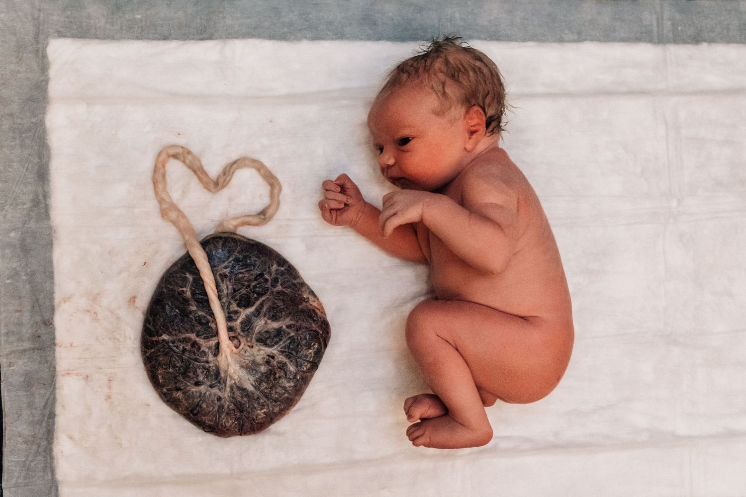 okc birth photographer captures baby next to placenta