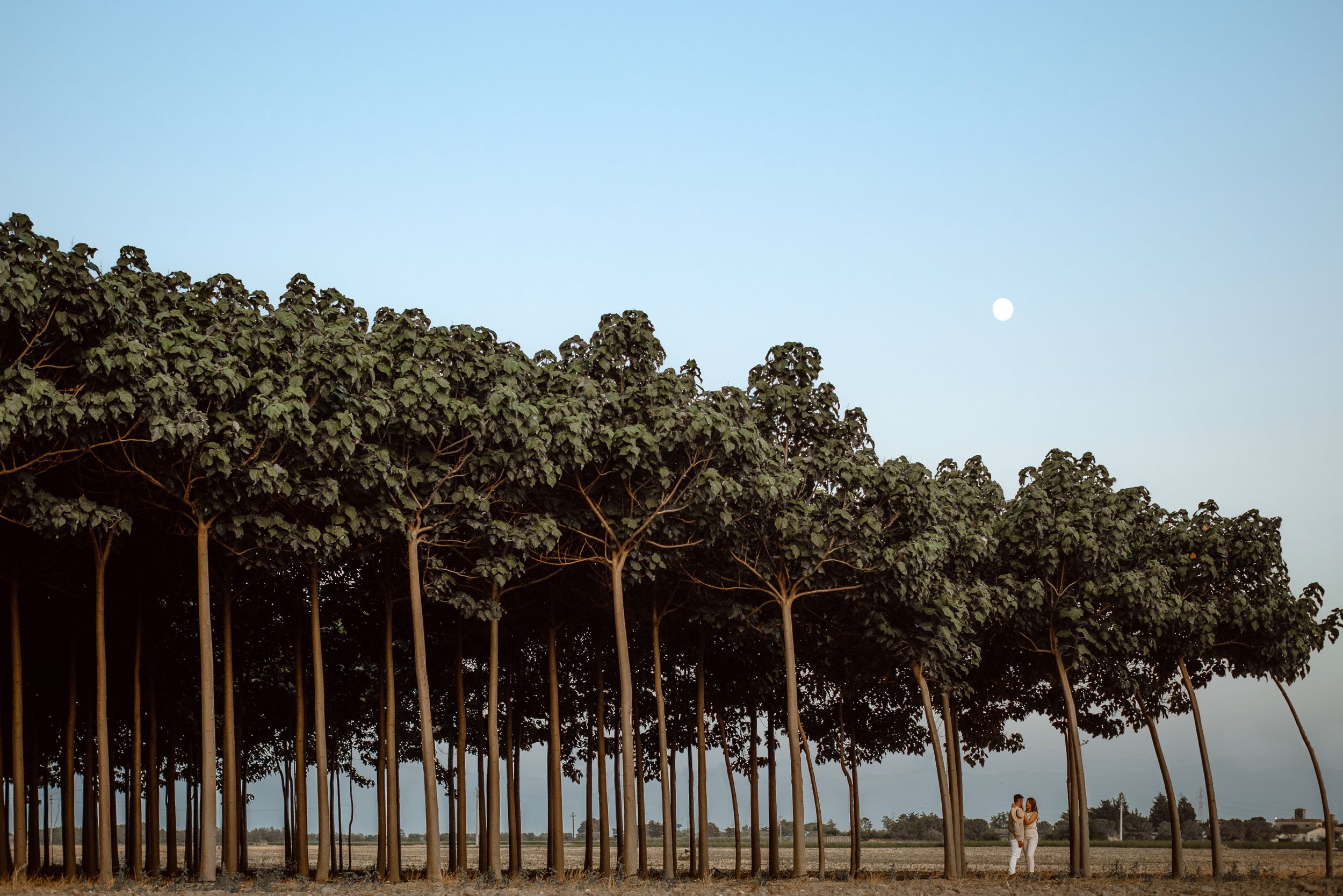 Puglia - couple - prematrimoniale - sessione di coppia - natura - bosco - piantagione di Paulonia - wedding photographer