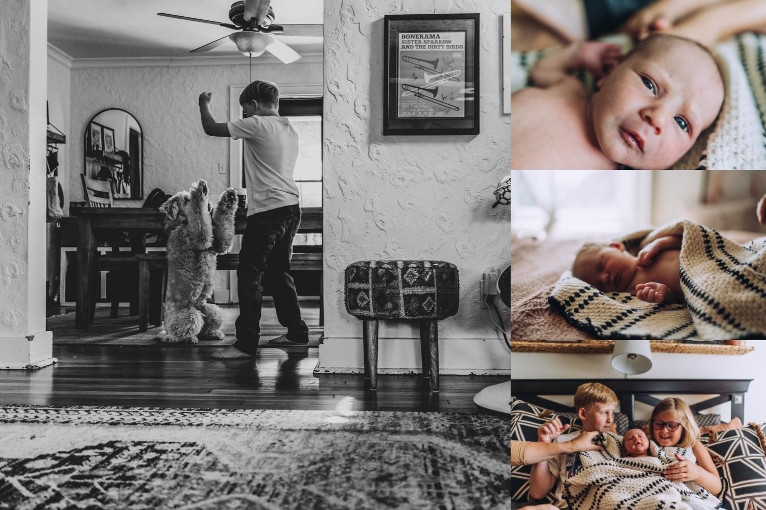 Collage of four images, including newborn's face, newborn sleeping, brother playing with dog