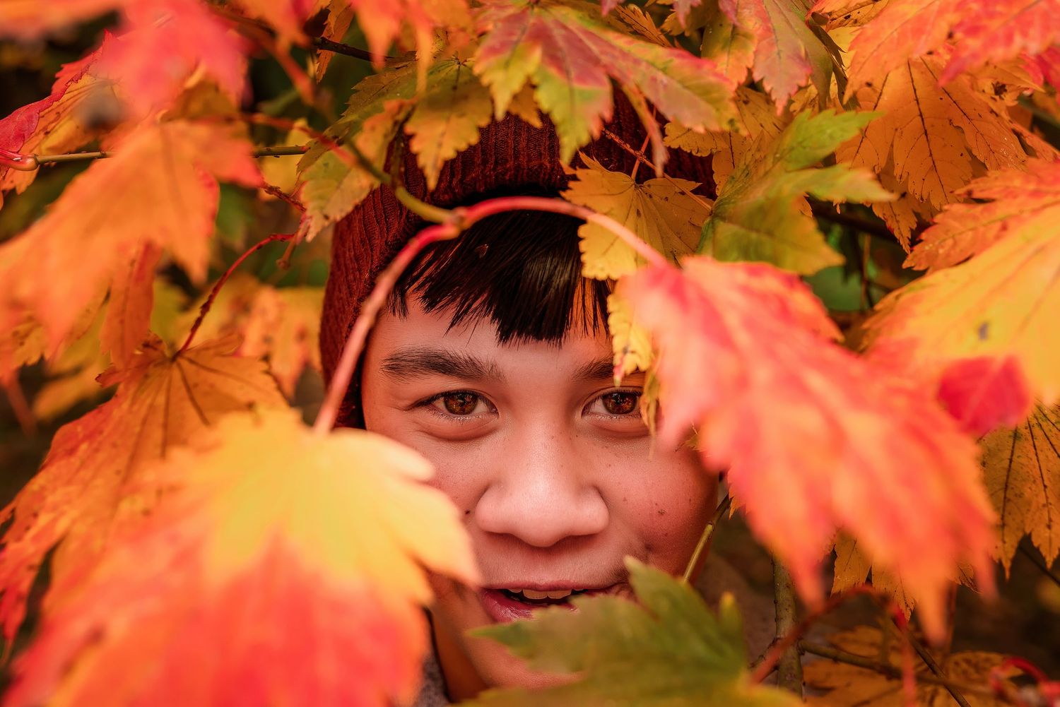 Teenage boy peeking through the Autumn foliage by Kate Cashin Photography.