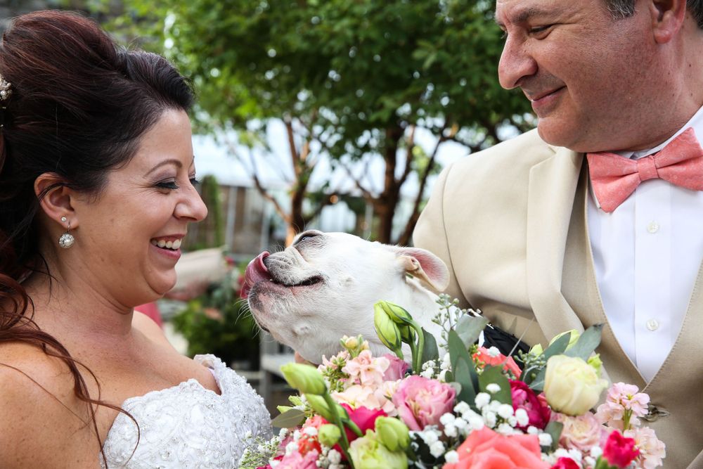 Wedding couple shares joyful moment with their small white dog amid colorful bouquet of flowers.