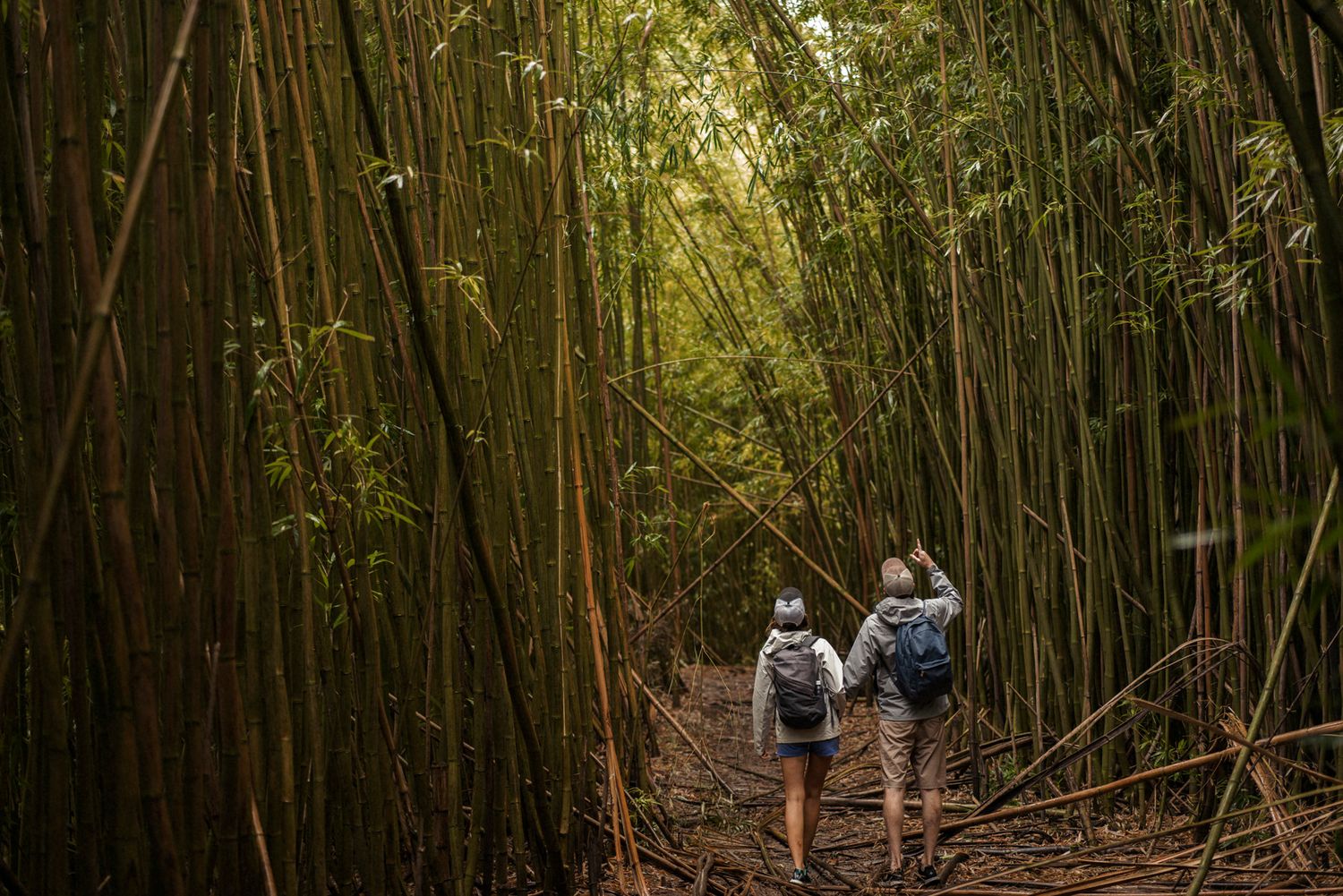 Bamboo Forest, Adventure Shoot Maui, Honeymoon Shoot, Hana, Maui