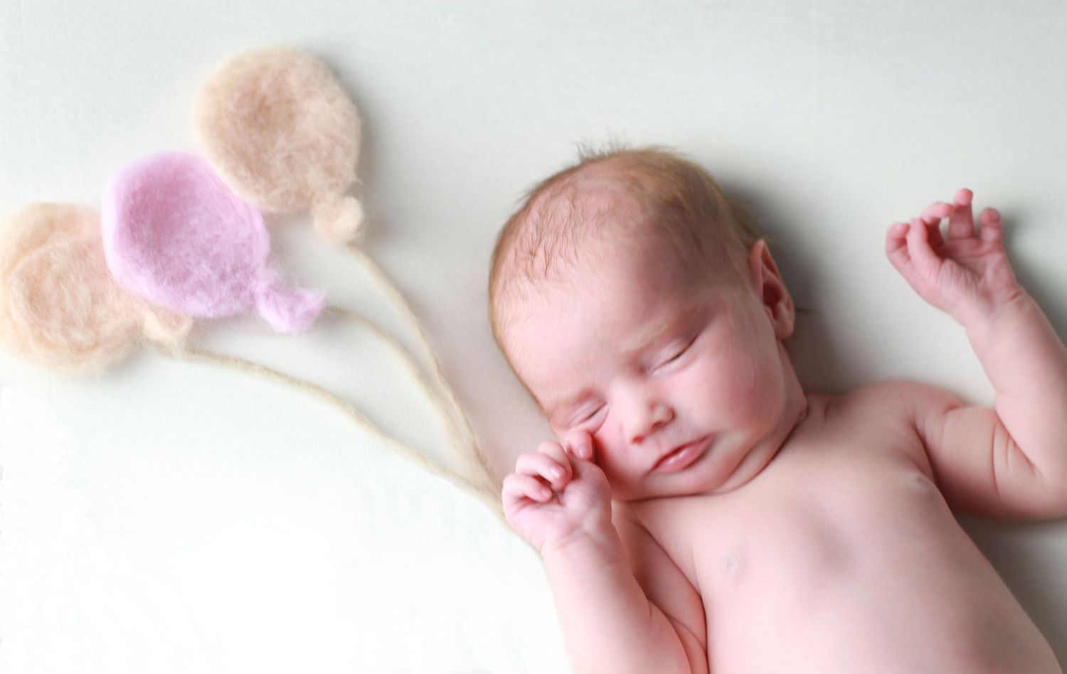 Raleigh, NC Newborn Photographer